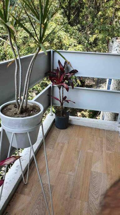 Cozy Apartment In Condesa'S Heart ! Mexico City Exterior photo
