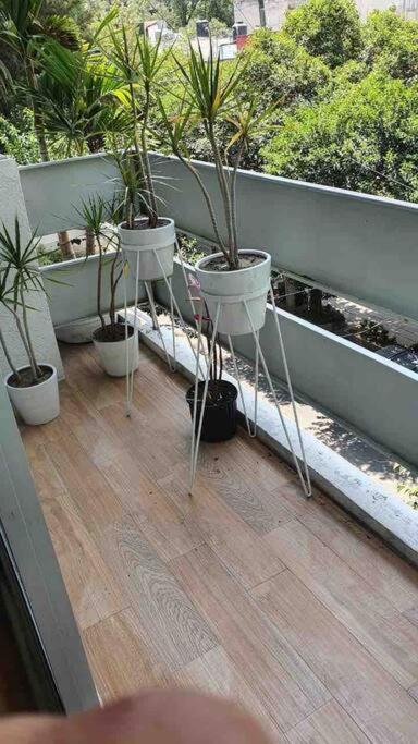 Cozy Apartment In Condesa'S Heart ! Mexico City Exterior photo
